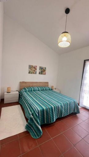 Il Verde Ulivo